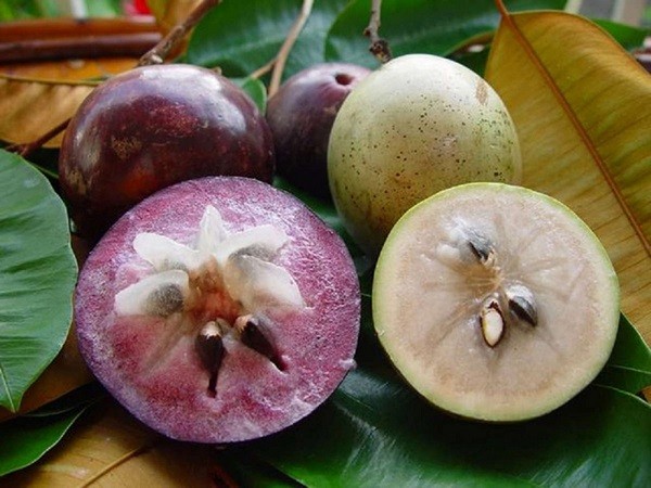 top 5 unique specialties of vietnam nominated for an asian record
