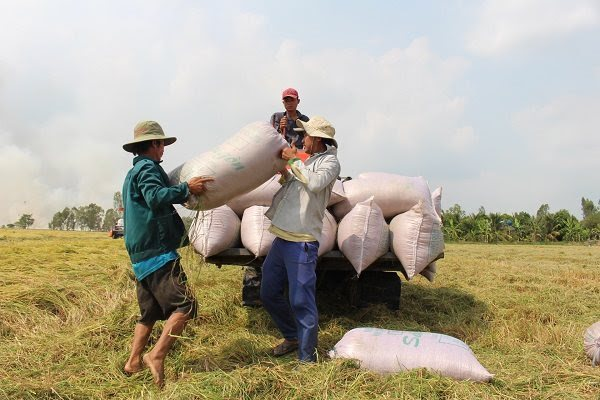 Photo: The Saigon Times