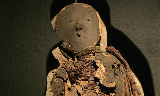 Chinchorro mummy of a child on display during an exhibition at La Moneda presidential palace, Santiago. Photograph: Claudio Santana/Getty