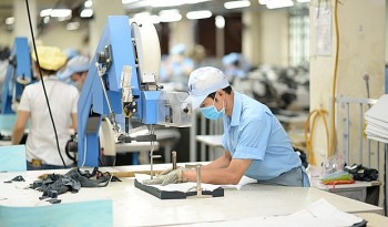 Firms Offered Recommendations To Boost Exports To EU