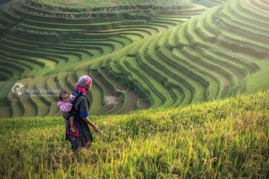 Photo: Origin Vietnam 