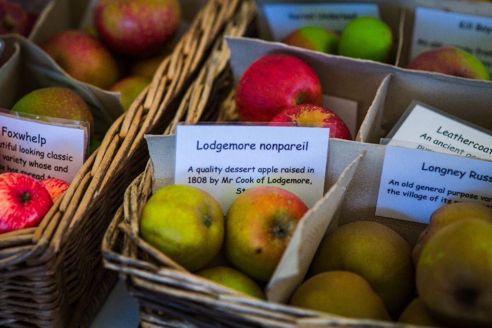 Photo: Gloucestershire Orchard Trust 