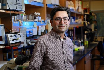 Biography of American Scientist Ardem Patapoutian: Early Life, Career, Awards and Achievement