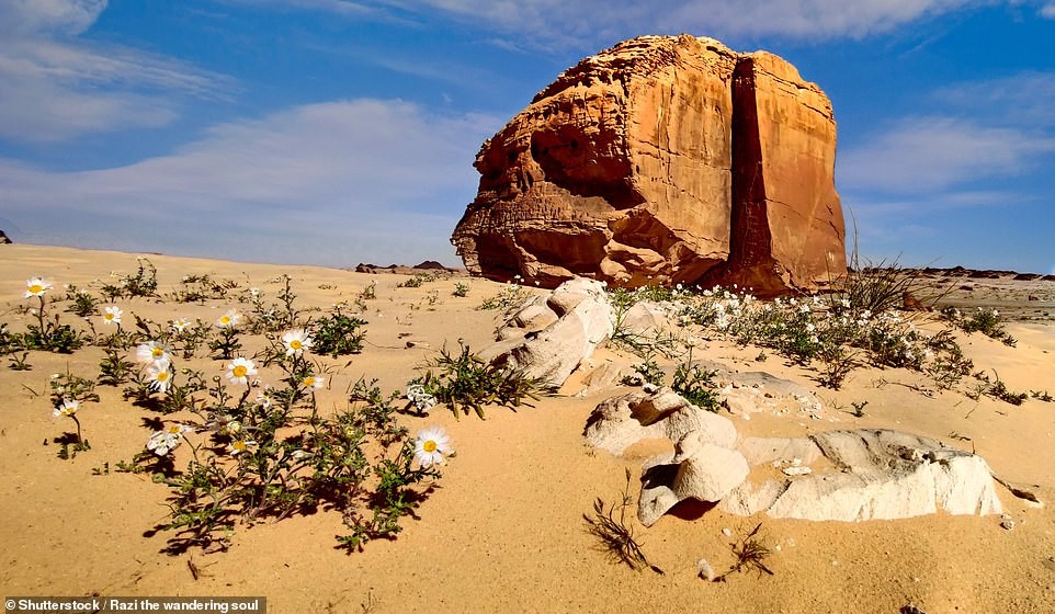 Photo: Shutterstock 