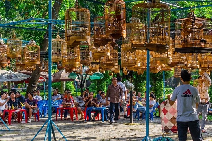 Bird collectors gathering at Tao Dan Park (@catalin_chitu_22)