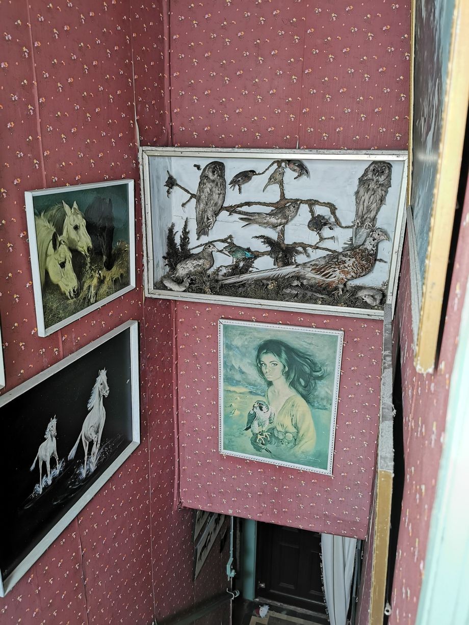 The house contains a box of stuffed birds  (Image: Kyle Urbex)