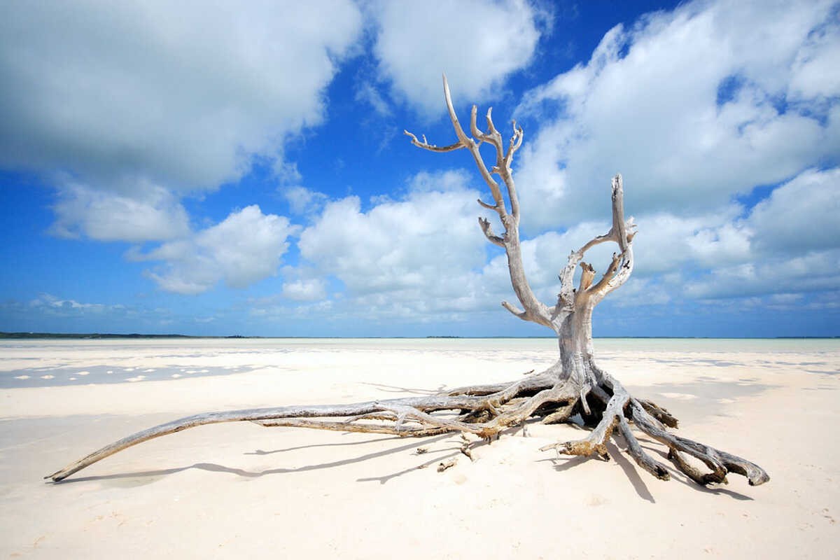 Photo:  harbour island bahamas