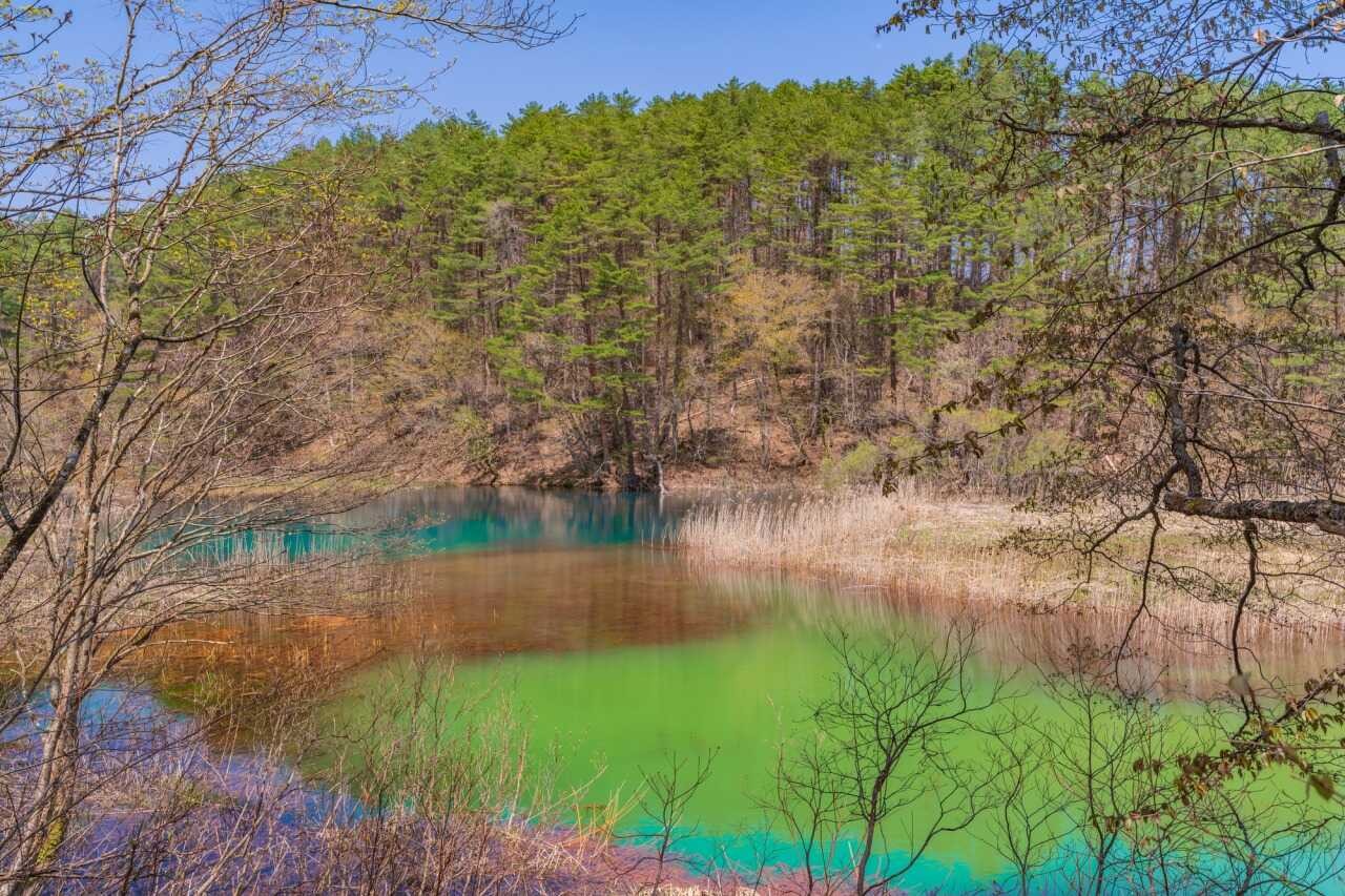 Photo: tohokukanko