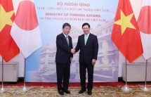 Vietnam, Japan agree to further enhance political trust