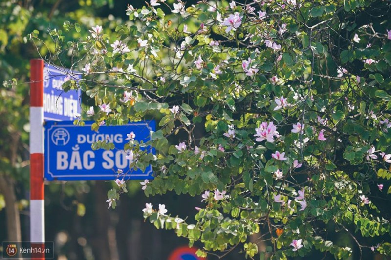 numerous activities to celebrate nations historical political events in hanoi