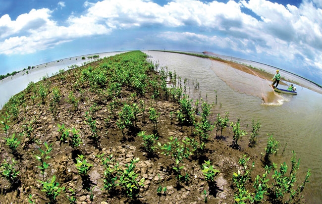 netherlands vietnam sustainable business event for the mekong delta