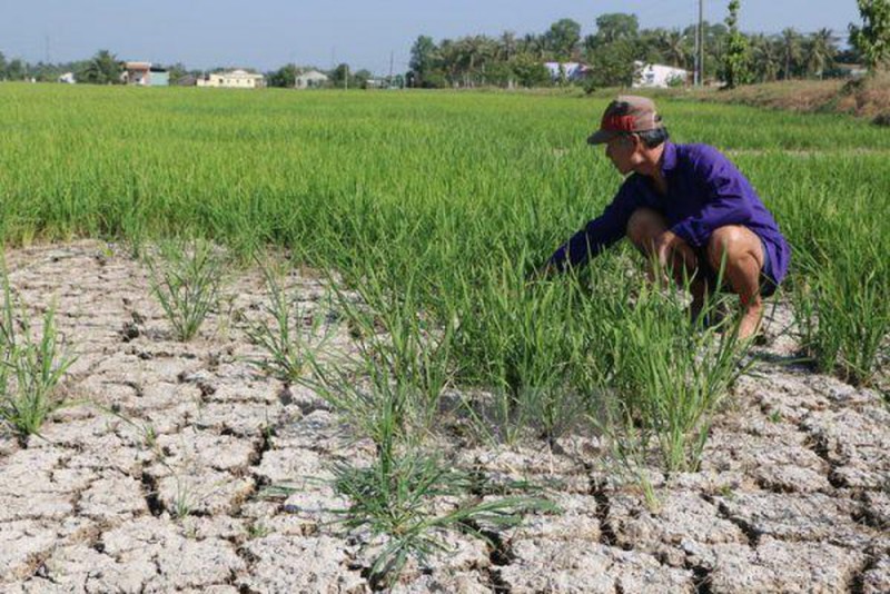 vietnam is facing severe water shortages in coming dry season