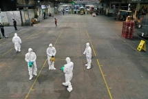 south korea reports second covid 19 death total 433 infection cases
