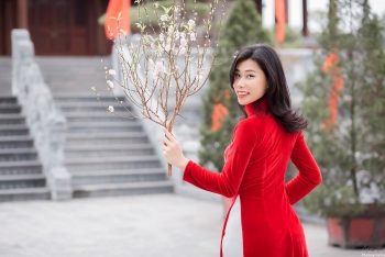 peach blossoms flower of vietnamese lunar new year