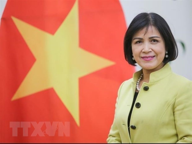 Vietnam supports Myanmar's democratic transition