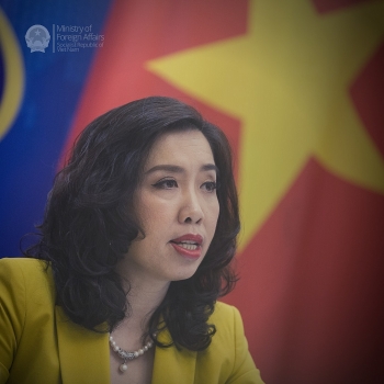 citizen protection provided to vietnamese abroad
