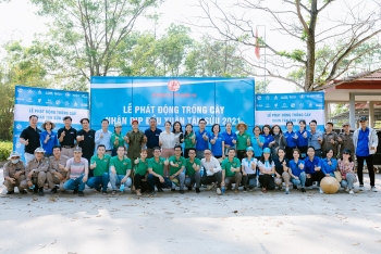 NGOs participate in tree-planting festival in Quang Tri