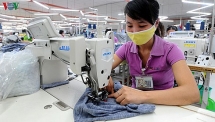 vietnam sent 220 europeans back home by bamboo airwayss boeing 787 9 dreamliner