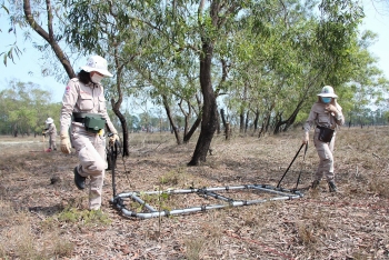 Quang Tri: Over 480 cluster munitions and UXOs safely destroyed