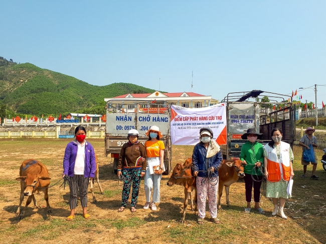 Breeding cows handed over to disaster–affected households in Quang Nam Province