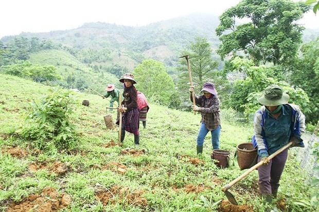 care to improve economic position of female ethnic minorities in ha giang