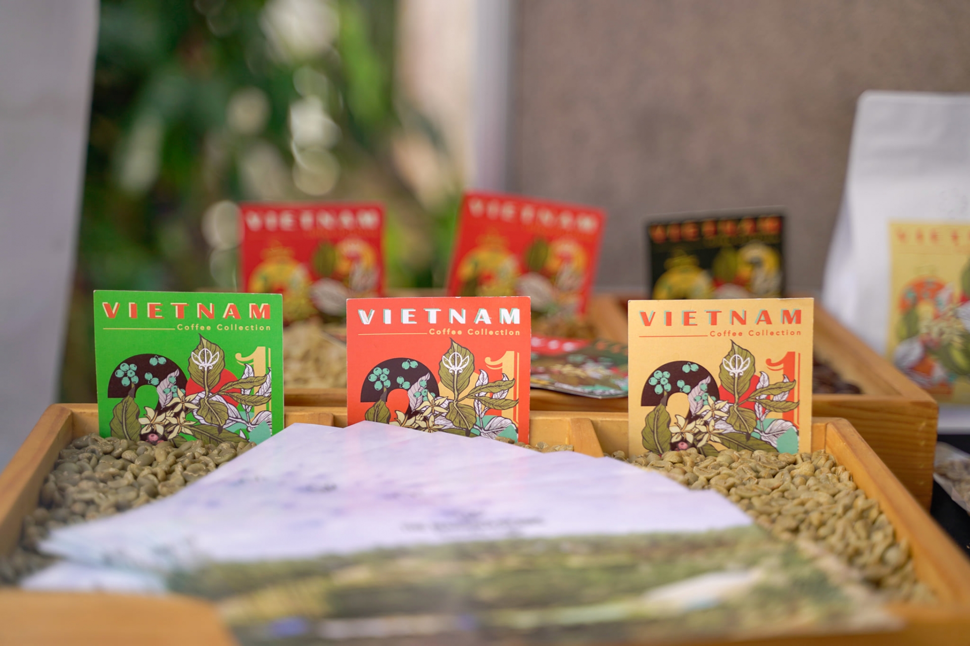 arabica lac duong a journey to build a high quality coffee brand