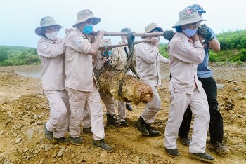 Japan Finances Mine Clearance in Vietnam's Central Province