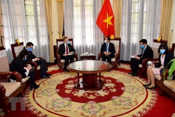 Czech thanks Vietnam for helping fly its citizens home