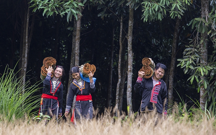 supporting two northern mountainous provinces restore agricultural production after covid 19