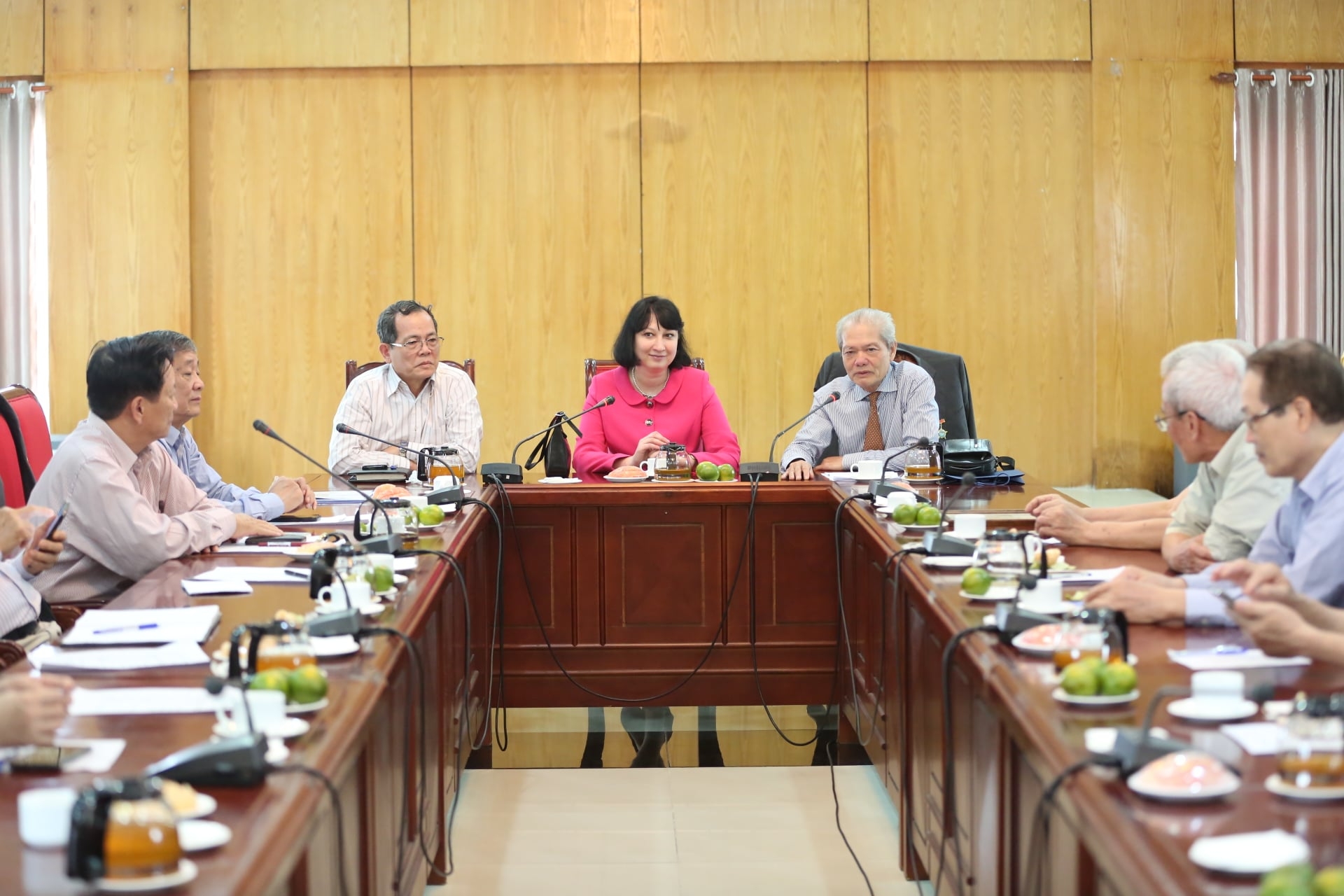 VUFO Chairwoman receives new Romanian Ambassador to Vietnam
