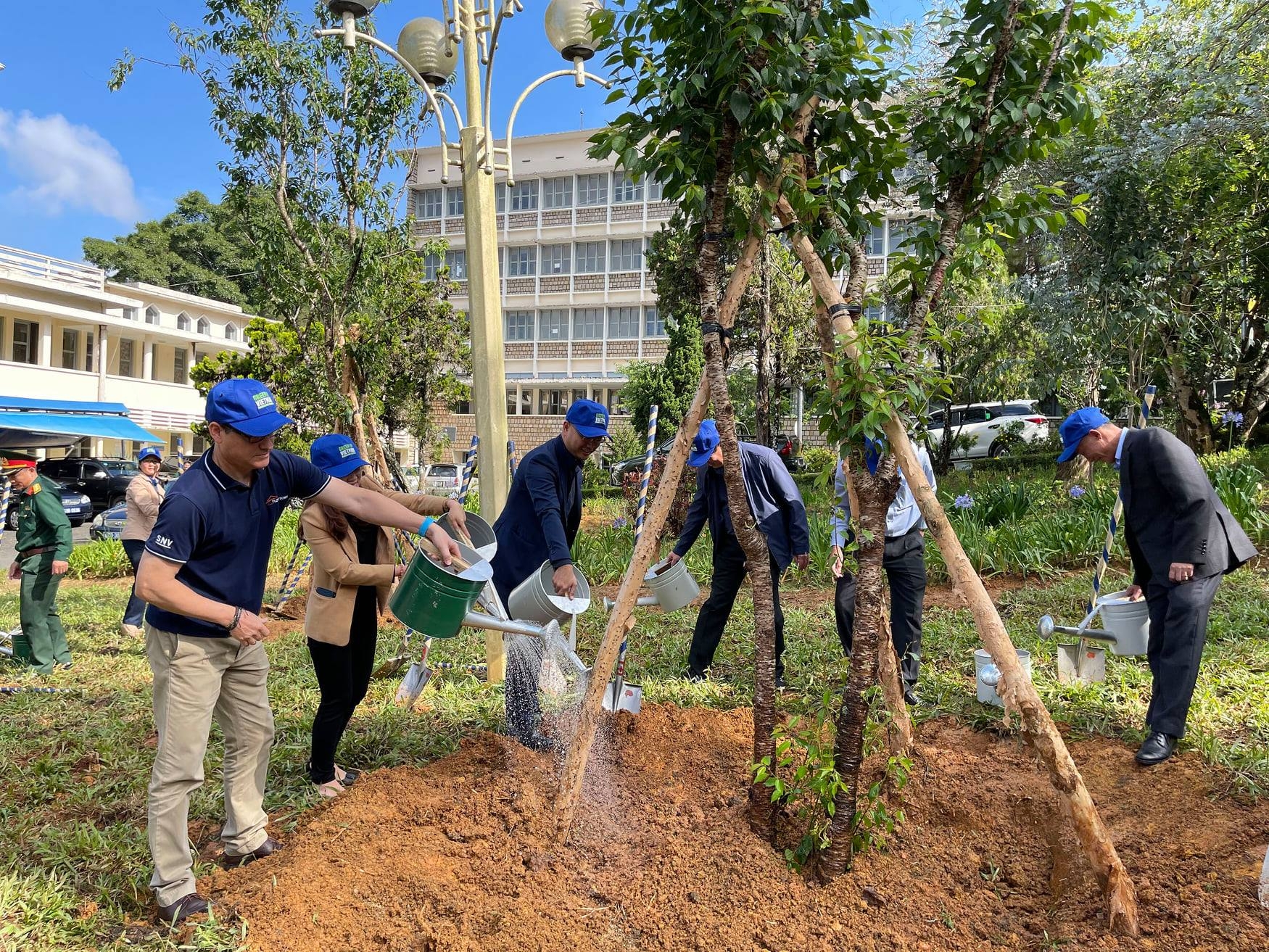 SNV contributes 3,000 cherry blossom trees for a green Vietnam