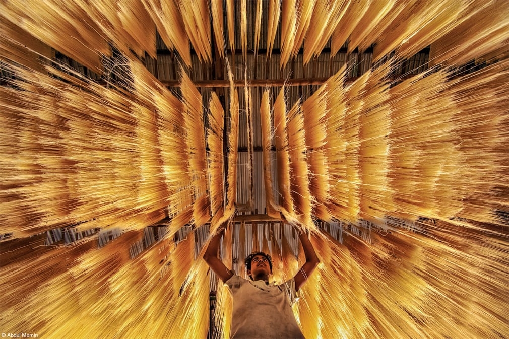 Two Vietnamese photos among Pink Lady Food Photographer of the Year winners