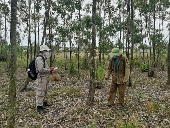 Non-Technical Survey Enhances Effectiveness of Mine Clearance Work