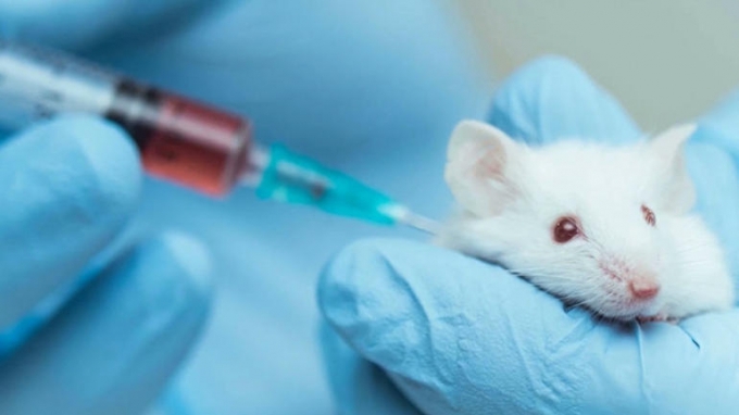 coronavirus vaccine vietnam waiting results from animal tests as one more case recorded