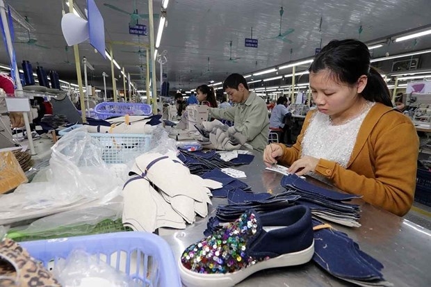 Experts: Belgium’s exports to Vietnam still growing
