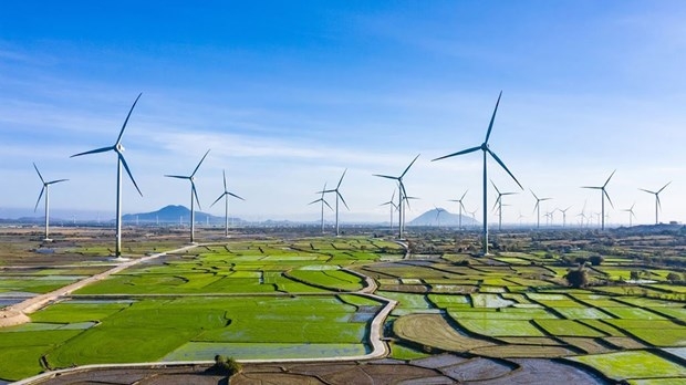 denmark accompanies vietnam in green and sustainable energy transformation