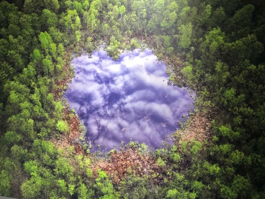 Photo Exhibition Highlights Natural Beauty in Visegrad Group Countries in HCM City