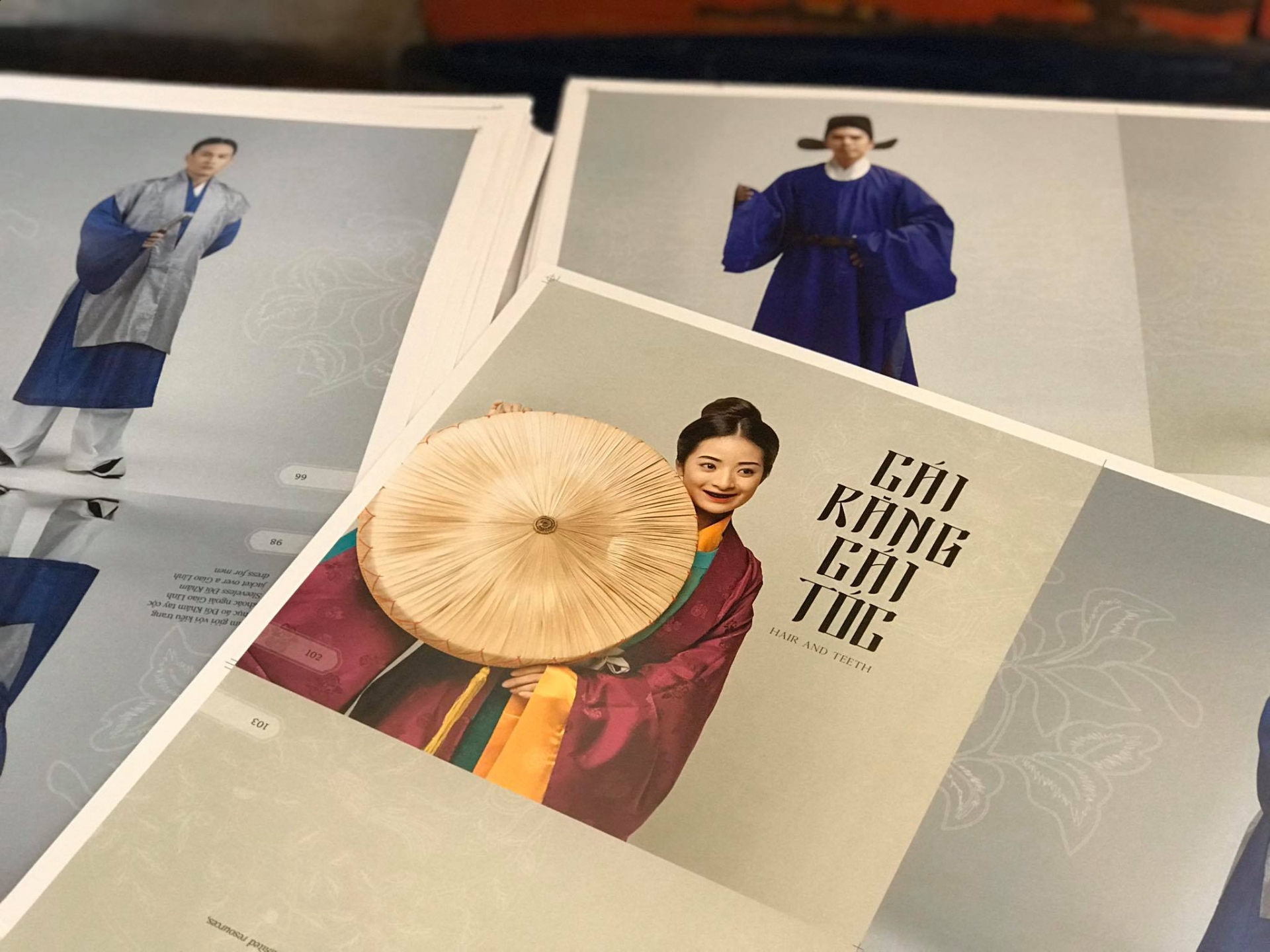 weaving a realm bilingual book introduces vietnams costumes from the 15th century