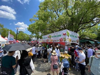 Japan Eyes Importing Vietnamese Longan