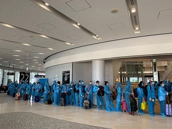 over 200 repatriated vietnamese from japan undergo quarantine in facilities