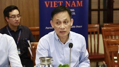 Deputy FM: Vietnam fulfills mission as UNSC non-permanent member in H1