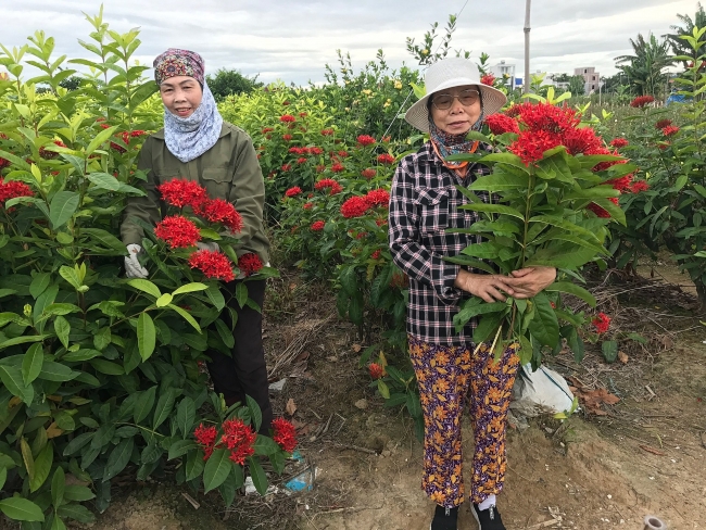 Self-Helping Intergenerational Club model in Vietnam became 2020 HAPI Grand Prize Winner