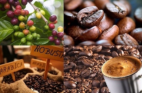 Algerians favor Vietnamese coffee, seafood and many other agricultural products