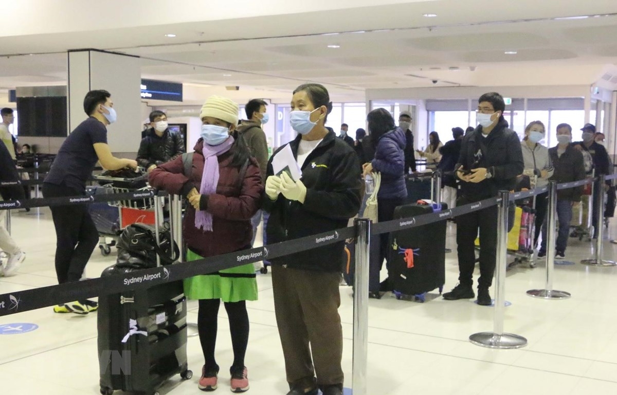 covid 19 latest news 340 citizens return safely from australia as vietnams confirmed cases pass 800 mark