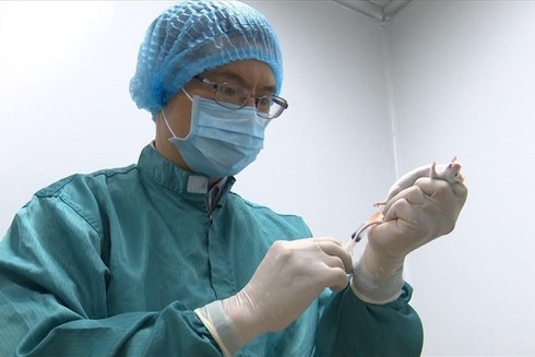vietnams new covid 19 infections surpass 900 more citizens repatriated