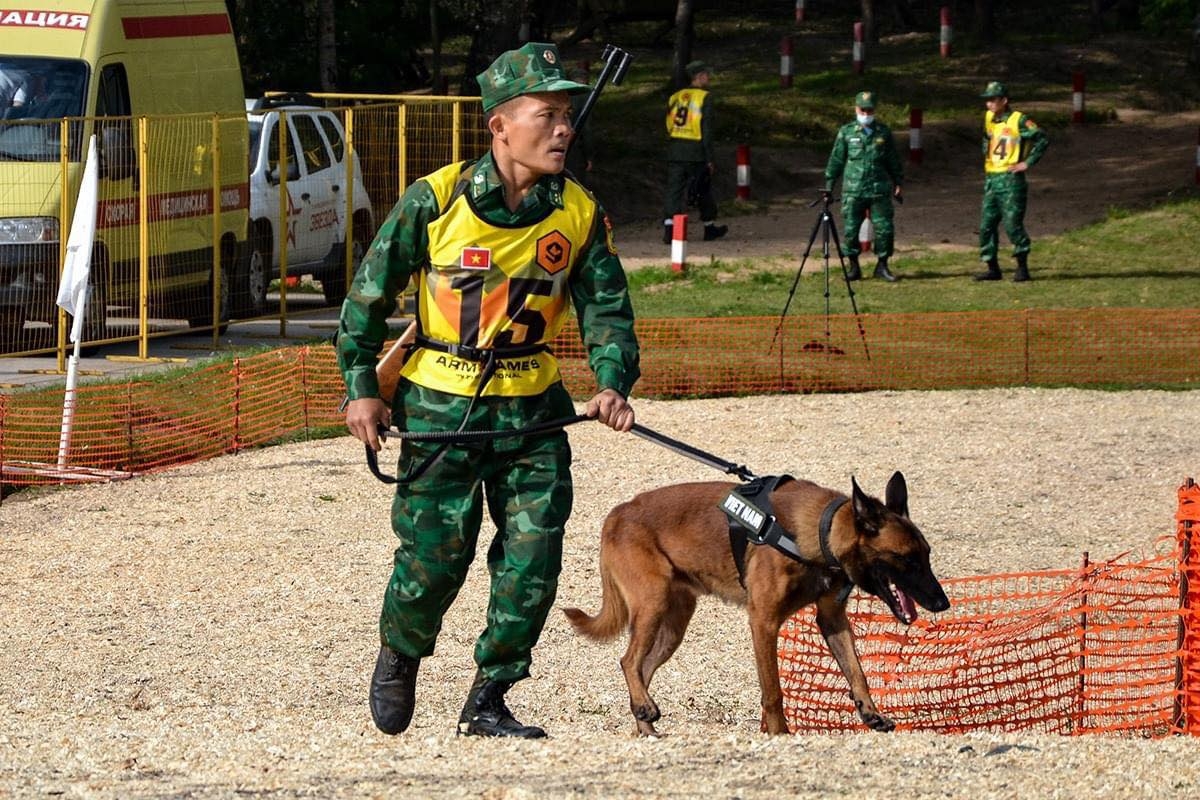 Outstanding results Vietnam teams gain at 2020 Army Games