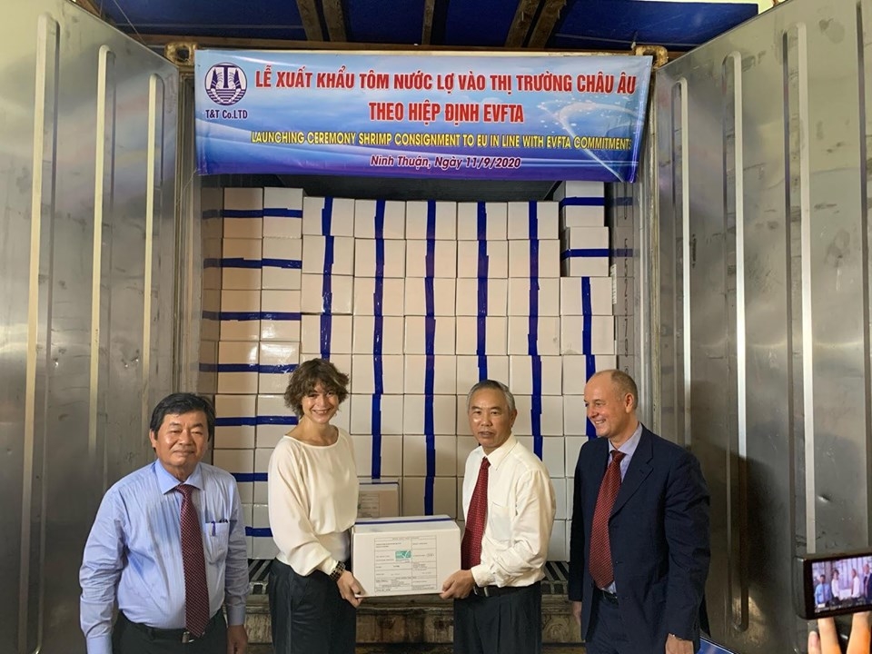 EVFTA: First batch of shrimp from Vietnam  on its way to EU