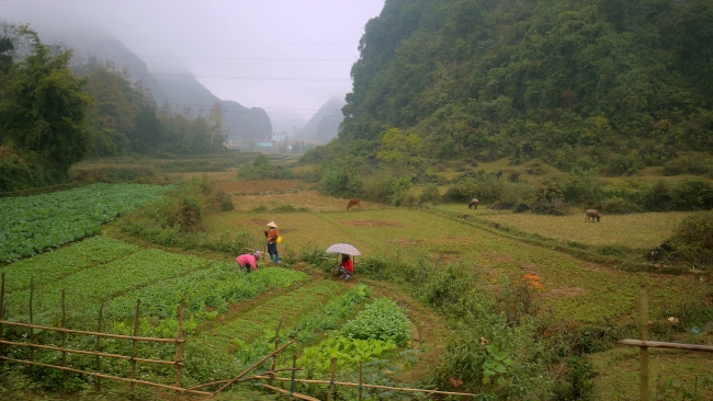 New Zealand-funded project boosts resilience to climate risks in Cao Bang