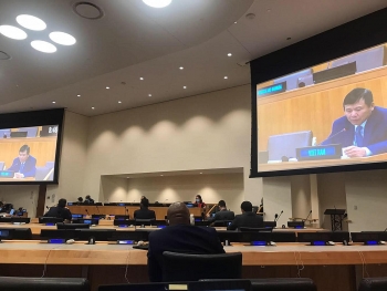 vietnamese ambassador intl cooperation solidarity key to covid 19 response