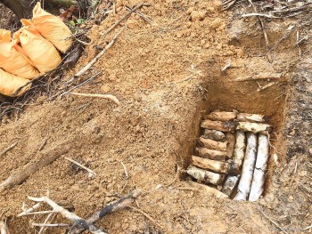 Internatinal Organizations Help Vietnam's Provinces Clear War-left Legacies